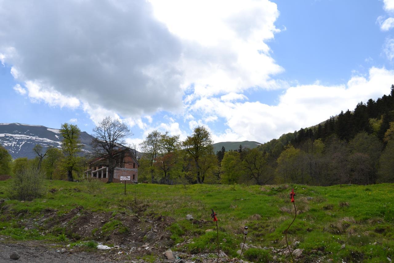 Orbi Palace Eleonora Bakuriani Kültér fotó